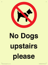 no-dogs-upstairs-please-~